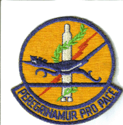390th MIM Squadron Patch
