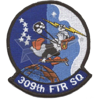 309th Fighter Squadron Patch