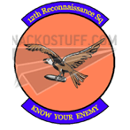 12th Reconnaissance Squadron Zap Decal