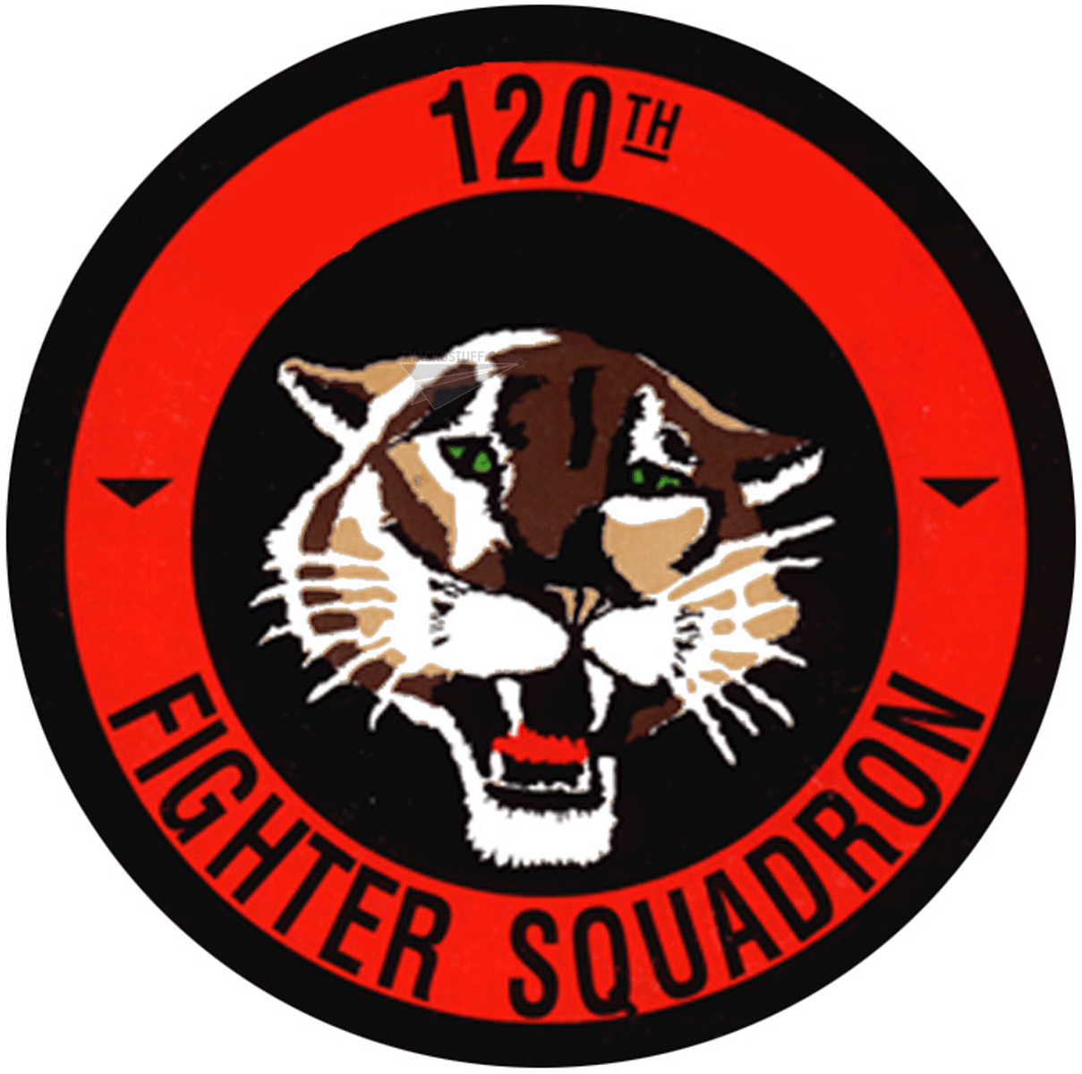120th Fighter Squadron Decal