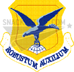 436th Airlift Wing Decal