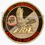 494th Fighter Squadron Friday Patch