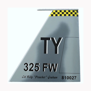 *Customized F-15C Tail Flash Plaque