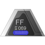 Customized F-22 Metal Tail Flash