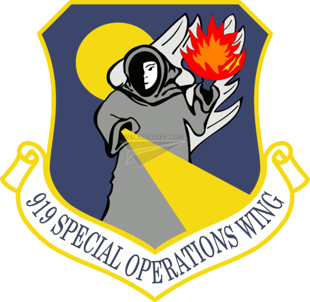 919th Special Ops Wing Decal