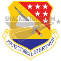 479th FTG Decal