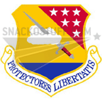 479th Training Wing Patch