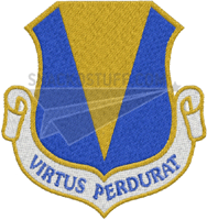 86th Air Base Wing Patch