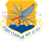 124th Wing Decal