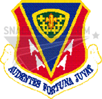 366th Fighter Wing Patch