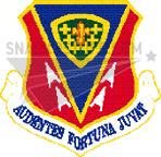 366th Fighter Wing Decal