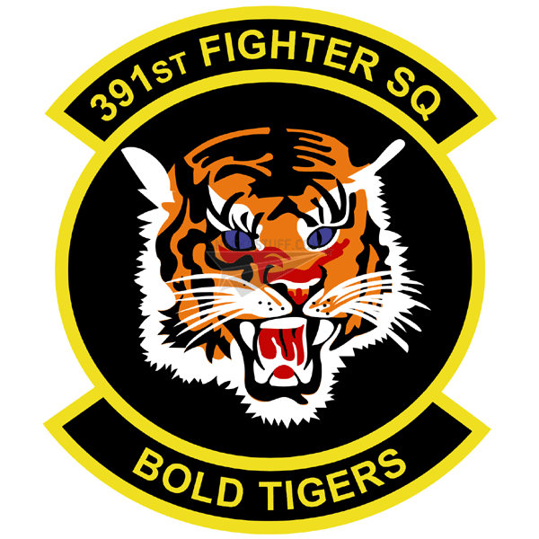 391st Fighter Squadron Patch
