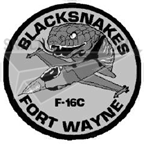 163rd Fighter Squadron Decal
