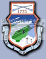 102nd Fighter Wing Patch