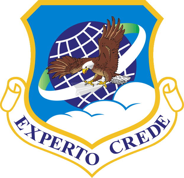 89th Wing Patch