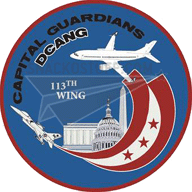 113th Wing Decal