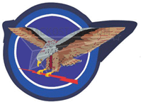 178th Fighter Squadron Decal