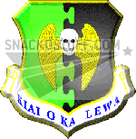 5th Bomb Wing Patch