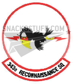 343rd Reconnaissance Sq Decal