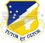 49th Fighter Wing Patch