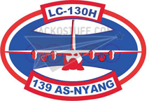 139th Airlift Squadron Decal