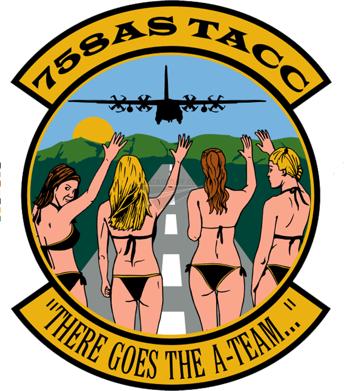 758th Airlift Squadron Decal