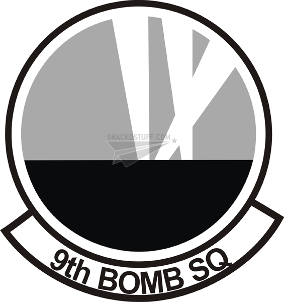 9th Bomb Squadron Patch