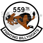 559th Flying Trng Sqdn Decal