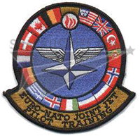 NJUPT Squadron Patch